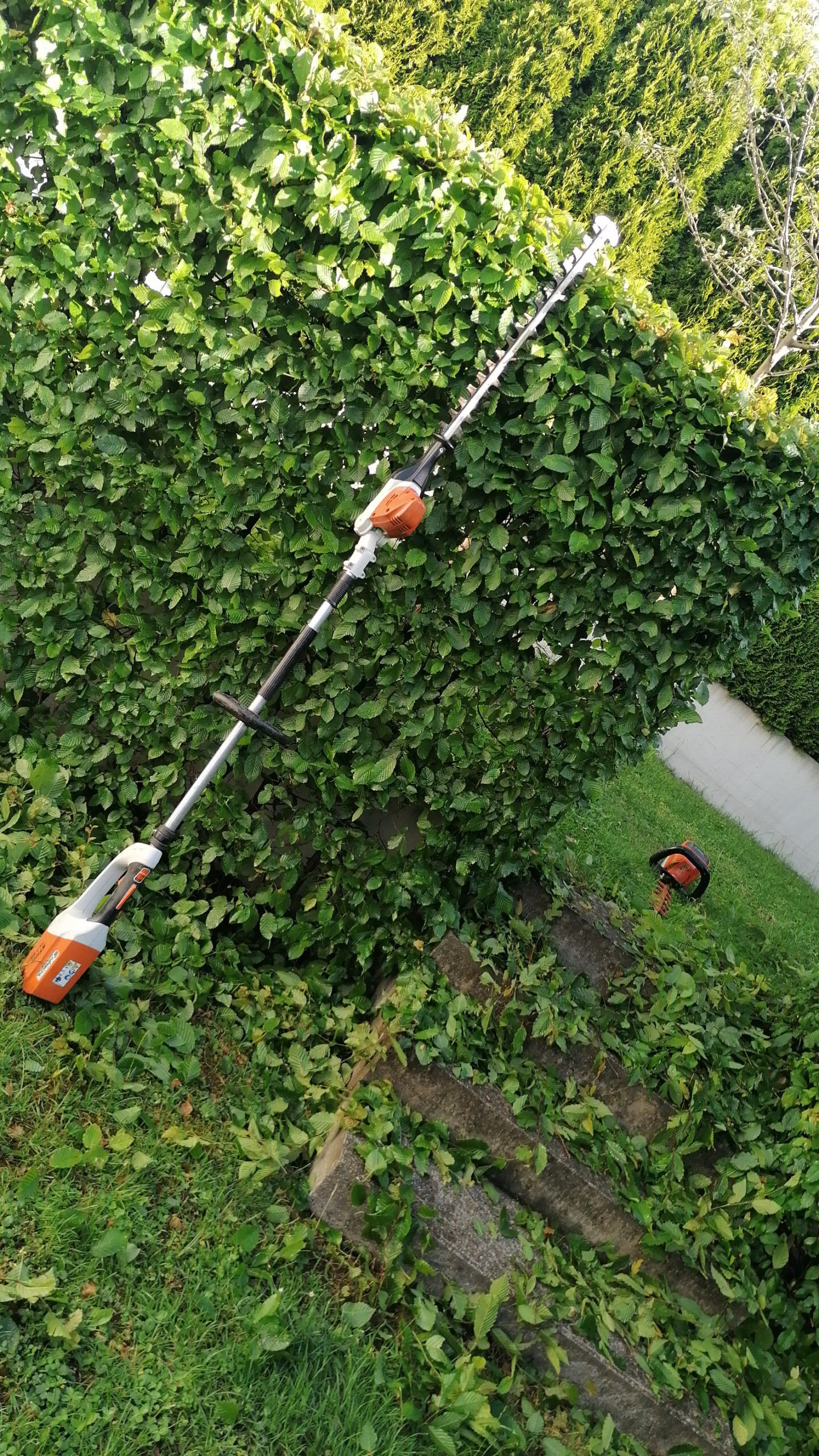 IMG-20210705-WA0006 (2)